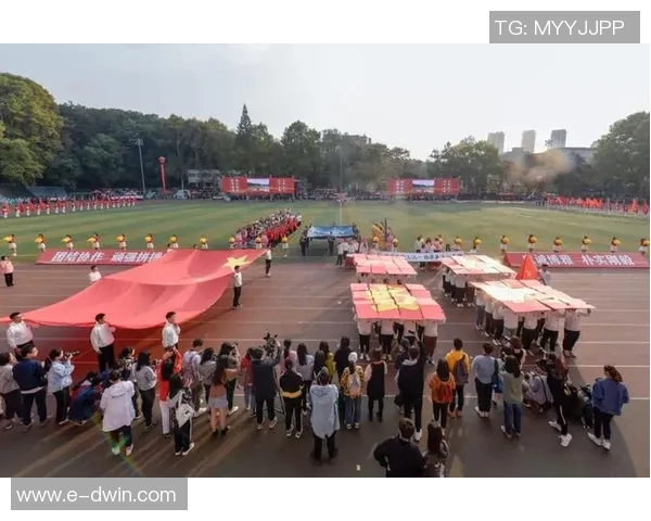 重庆羽毛球队在世锦赛上的拼搏历程与荣耀时刻全景回顾