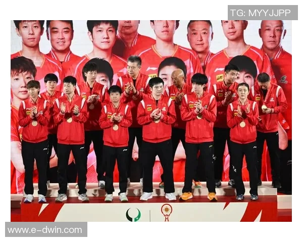 乒乓球力量榜单揭晓北京乒乓球队荣获第二名成就辉煌